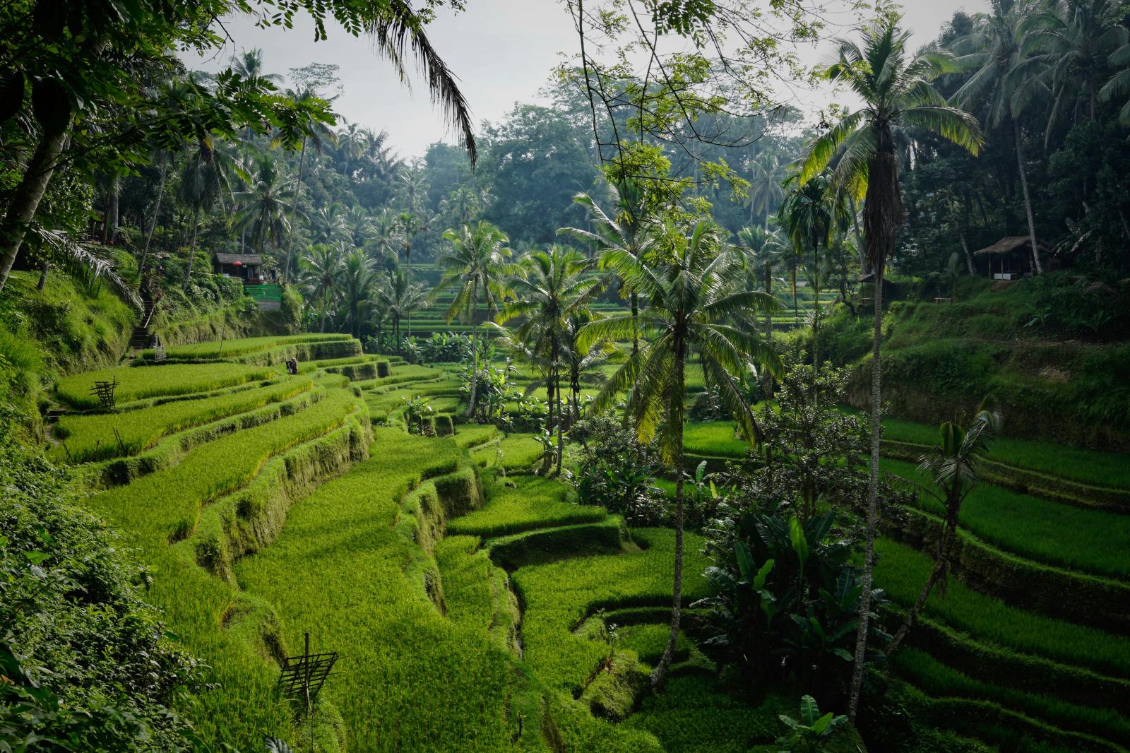 Happy travelers at Uluwatu Temple