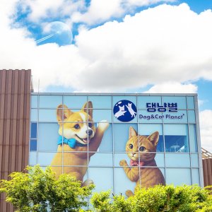 [제주] 댕냥별 입장권