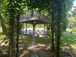 [루앙프라방] 루앙프라방 요가 클라스 - NamKhan Eco Lodge