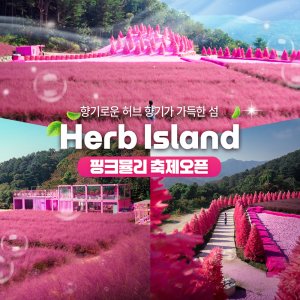 [경기] 허브아일랜드 입장권(포천가볼만한곳)