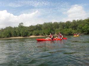 싱가포르 섬 속의 섬,  케탐섬에서 즐기는 카약 모험