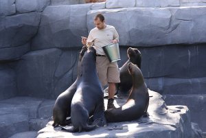 파리 동물원 (Parc Zoologique de Paris)
