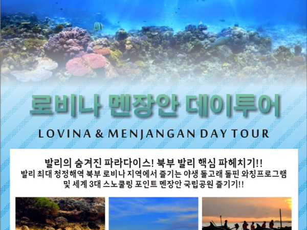 [발리] 로비나 돌고래 멘장안 데이투어