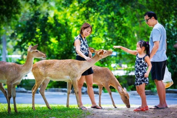 파타야 카오키여우 오픈 주 반일 단독 투어 (한국어 기사)