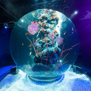[고베] AQUARIUM×ART 아토아(átoa) 입장권