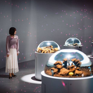 [고베] AQUARIUM×ART 아토아(átoa) 입장권