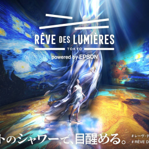 RÊVE DES LUMIÈRES(레브 데 뤼미에르) 입장권