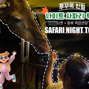 푸꾸옥 빈펄 나이트 사파리 투어 (티켓 + 왕복 픽업샌딩)