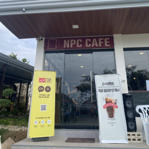 [보홀] 나팔링 체험다이빙 (한국인강사 정어리떼 스쿠버다이빙 픽업드랍 사진영상제공)