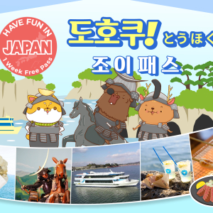 도호쿠 조이 패스