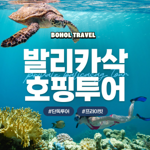 [보홀트래블] 보홀 발리카삭 호핑투어 (수중촬영,픽드랍,단독투어,전담가이드)