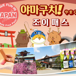 절대구매불가!! TEST  [기간 한정] 교토 철도 박물관 입장권 + 교토 수족관 입장권 성인 패키지 (만 18세 이상)